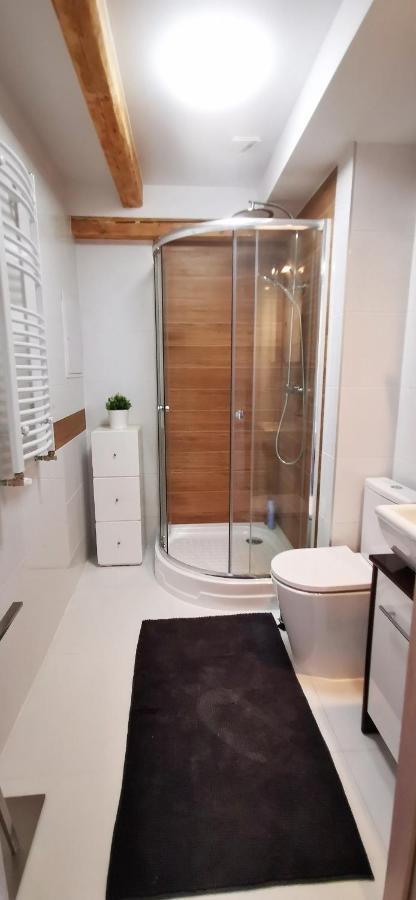 Klimatyczny Apartament Nr 8 Z Widokiem Na Gory Sowie ビエラバ エクステリア 写真