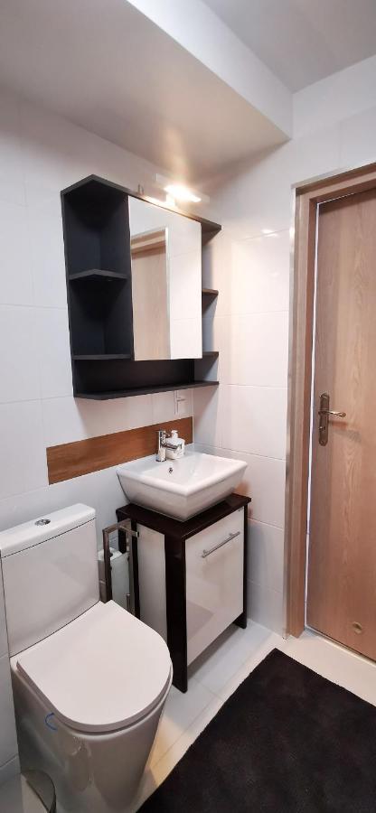 Klimatyczny Apartament Nr 8 Z Widokiem Na Gory Sowie ビエラバ エクステリア 写真