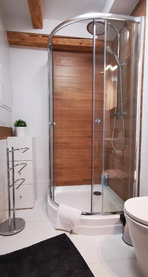 Klimatyczny Apartament Nr 8 Z Widokiem Na Gory Sowie ビエラバ エクステリア 写真