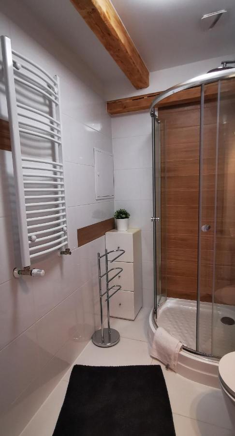Klimatyczny Apartament Nr 8 Z Widokiem Na Gory Sowie ビエラバ エクステリア 写真