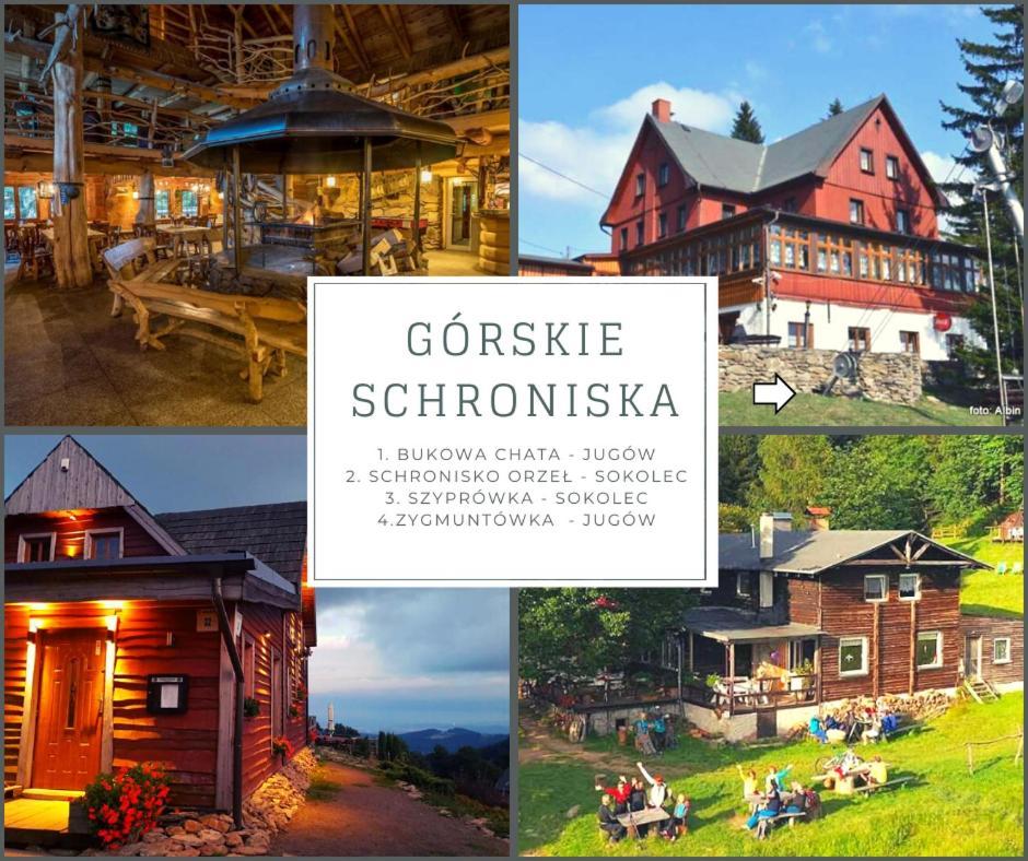 Klimatyczny Apartament Nr 8 Z Widokiem Na Gory Sowie ビエラバ エクステリア 写真