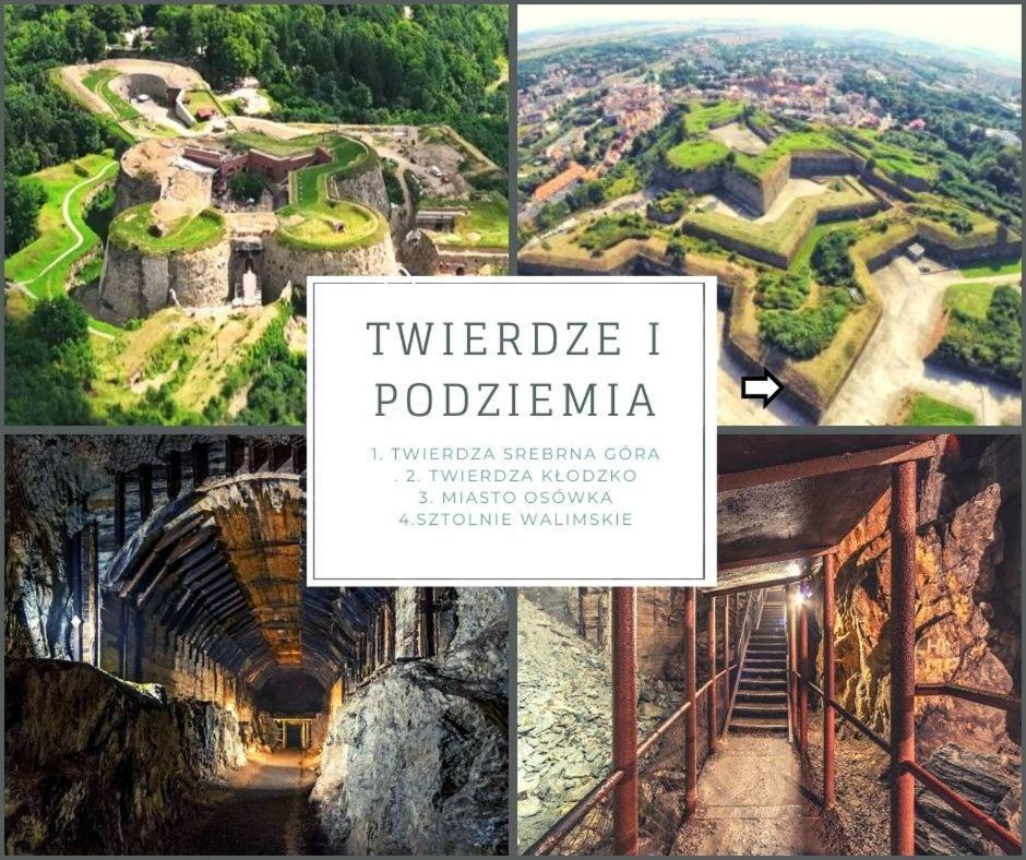 Klimatyczny Apartament Nr 8 Z Widokiem Na Gory Sowie ビエラバ エクステリア 写真
