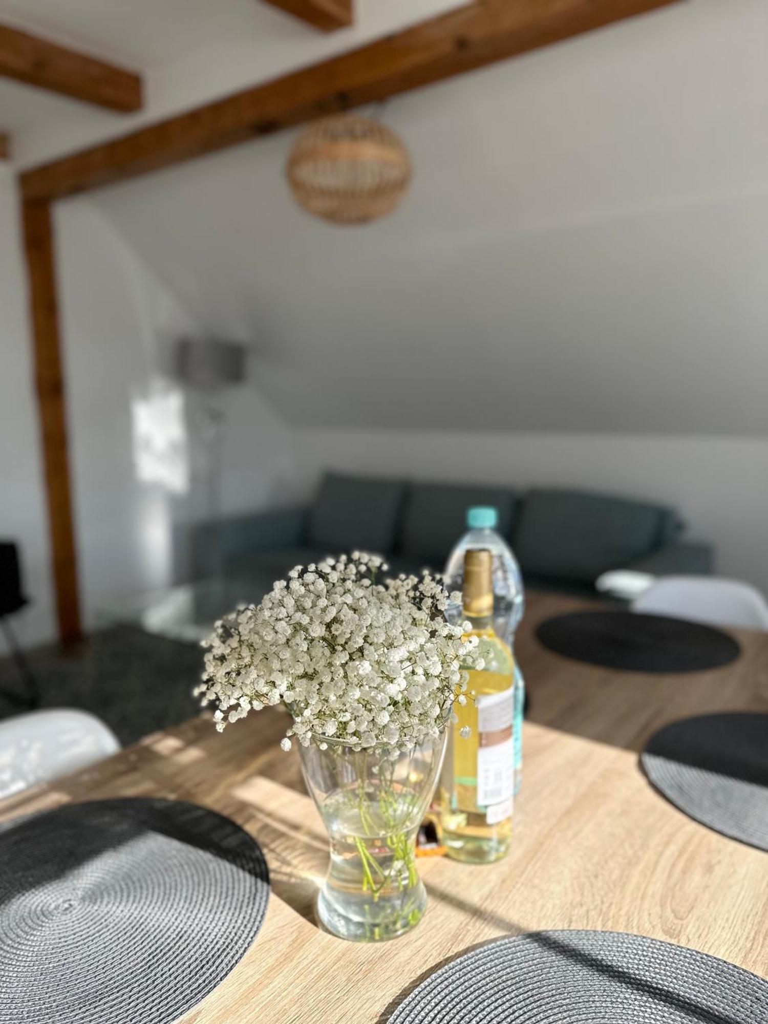 Klimatyczny Apartament Nr 8 Z Widokiem Na Gory Sowie ビエラバ エクステリア 写真